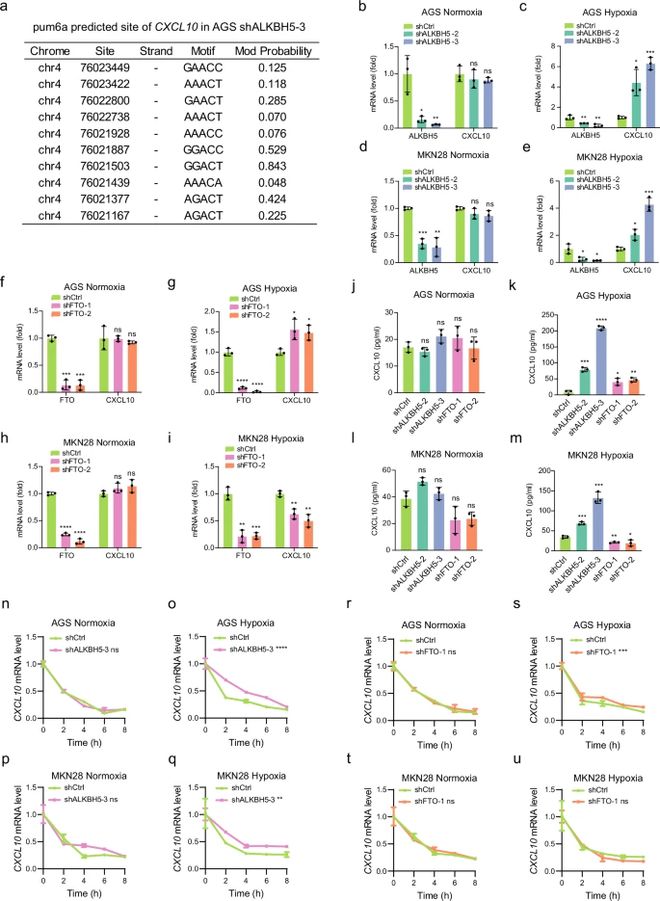 m6A中国科学家揭示细胞命运调控新机制PP电子(中国)网站直接RNA测序解锁(图2)